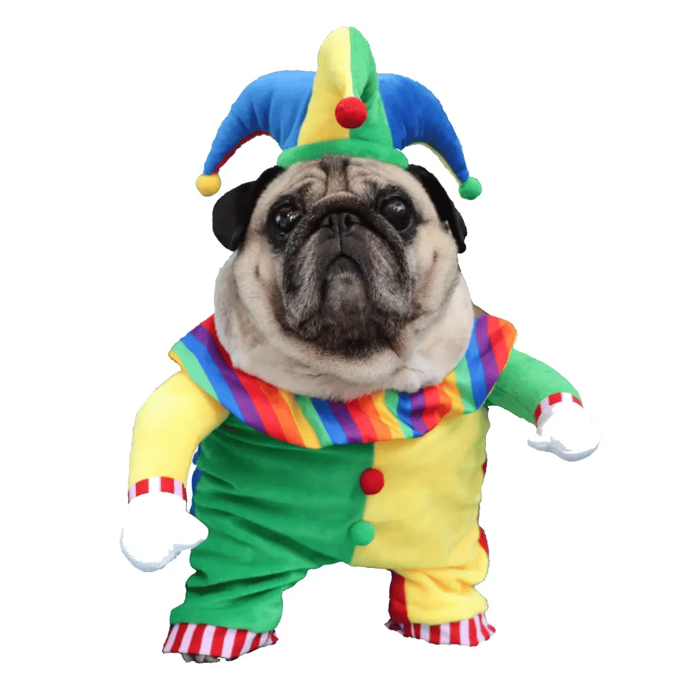 Jester Dog Costume