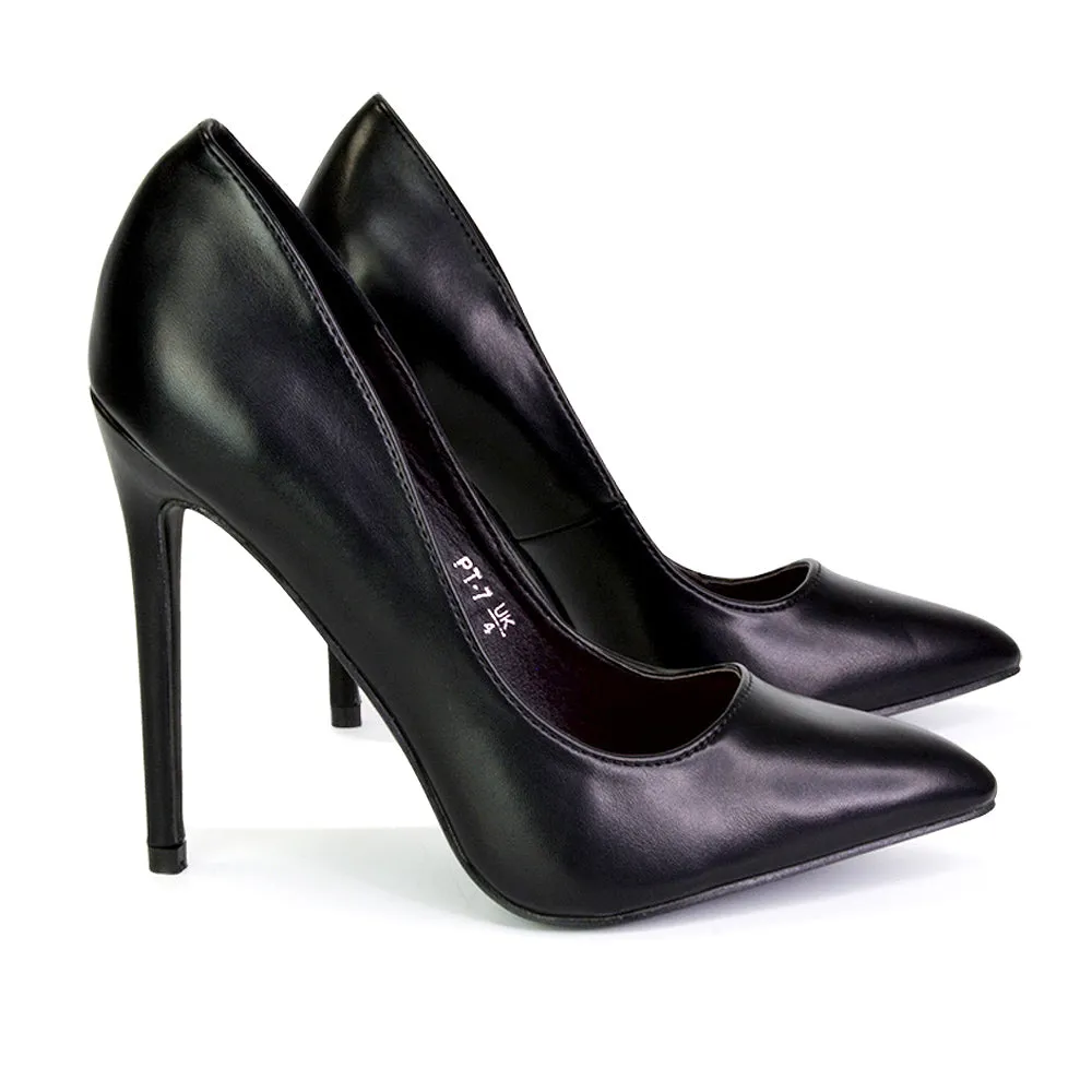 Lu-Lu Pointed Toe Statement Stiletto High Heel Court Shoes in Black