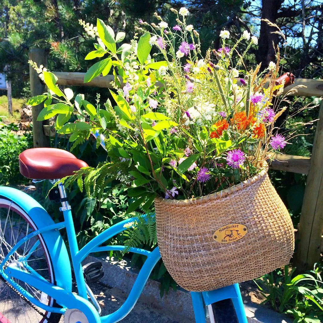 sixthreezero Teal Single Speed Women's Beach Cruiser Bike