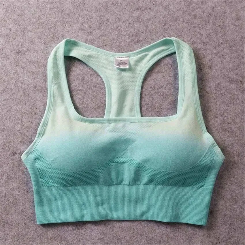 Sports Bra Top - Ombre Sports Bra Top