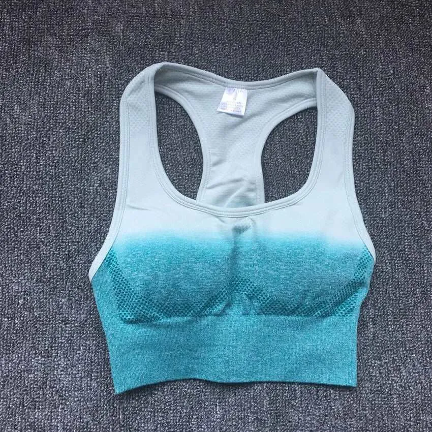 Sports Bra Top - Ombre Sports Bra Top