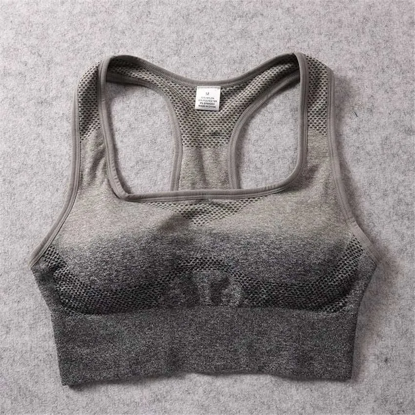 Sports Bra Top - Ombre Sports Bra Top