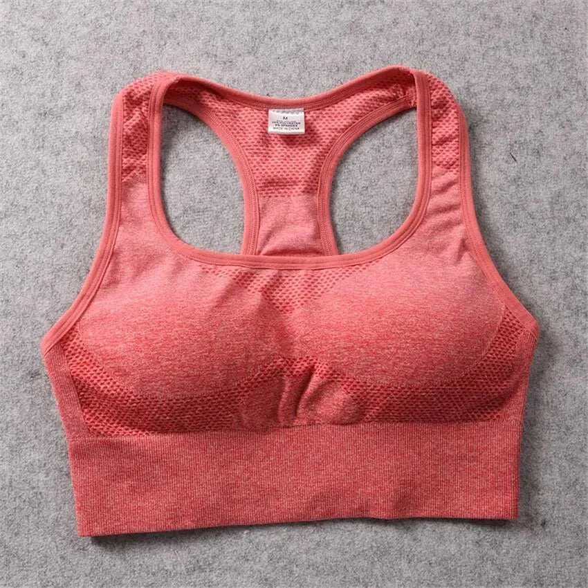 Sports Bra Top - Ombre Sports Bra Top