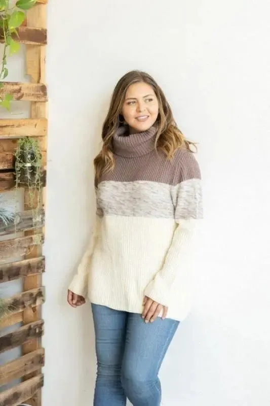 Striped Turtleneck Pullover Sweater-Curvy Girl